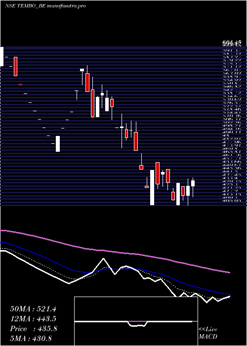 Daily chart TemboGlobal