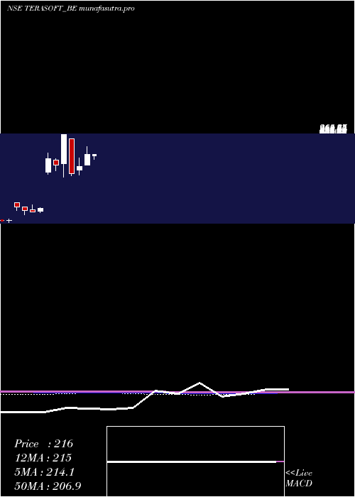 monthly chart TeraSoftware
