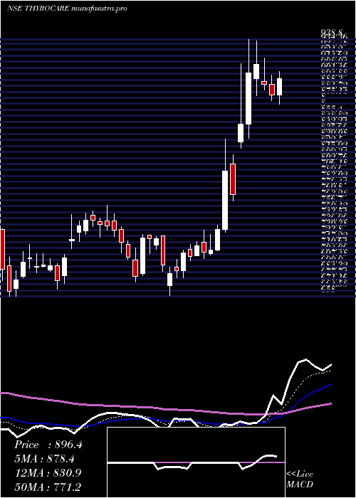 Daily chart ThyrocareTech