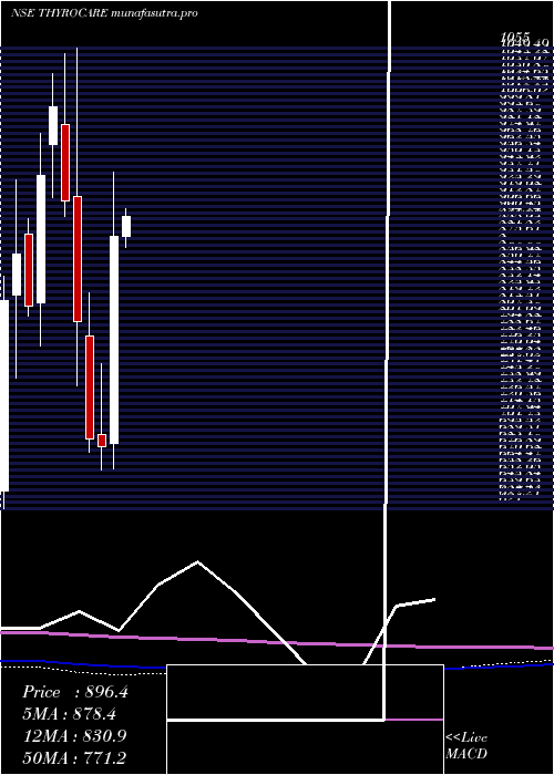 monthly chart ThyrocareTech