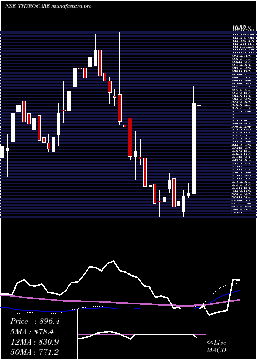 weekly chart ThyrocareTech