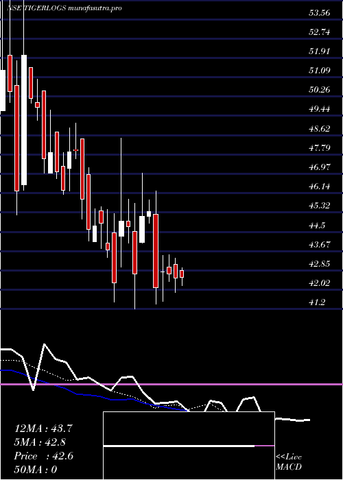 Daily chart TigerLogistics