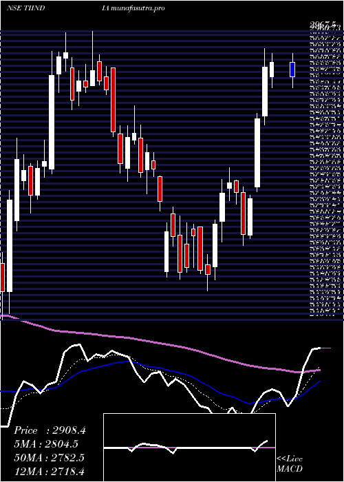 Daily chart TubeInvest