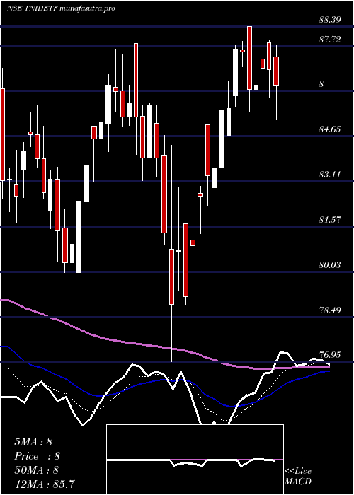 Daily chart TataamlTnidetf