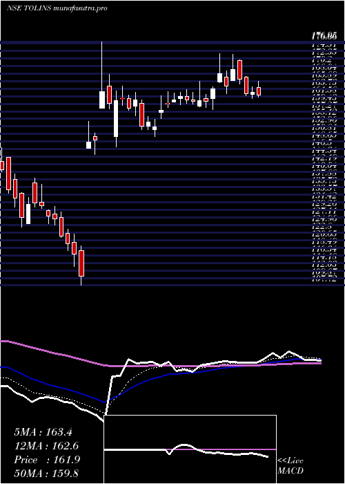 Daily chart TolinsTyres