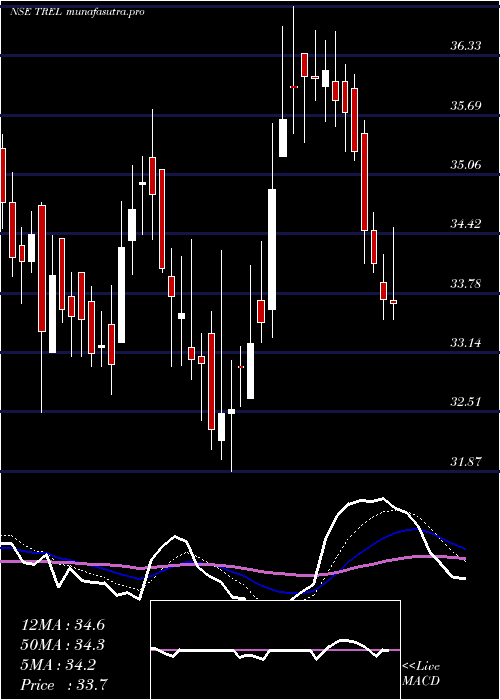 Daily chart TransindiaReal
