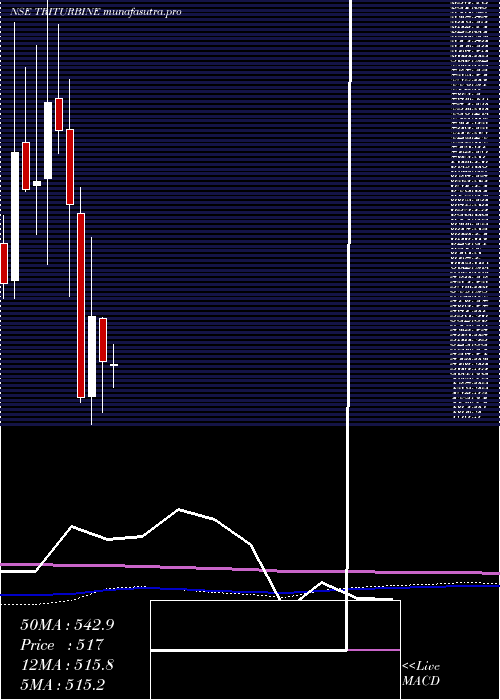 monthly chart TriveniTurbine