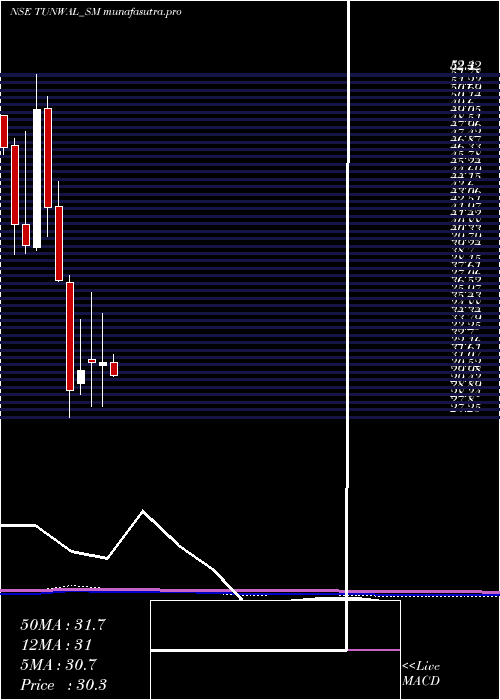 monthly chart TunwalE