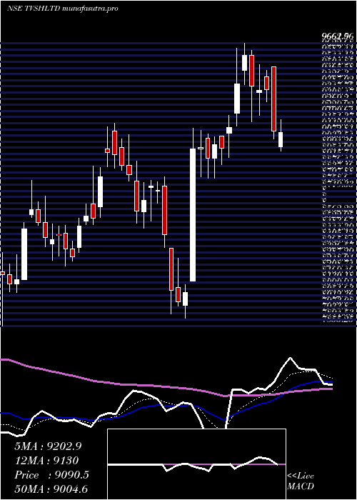 Daily chart TvsHoldings