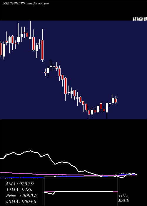 weekly chart TvsHoldings