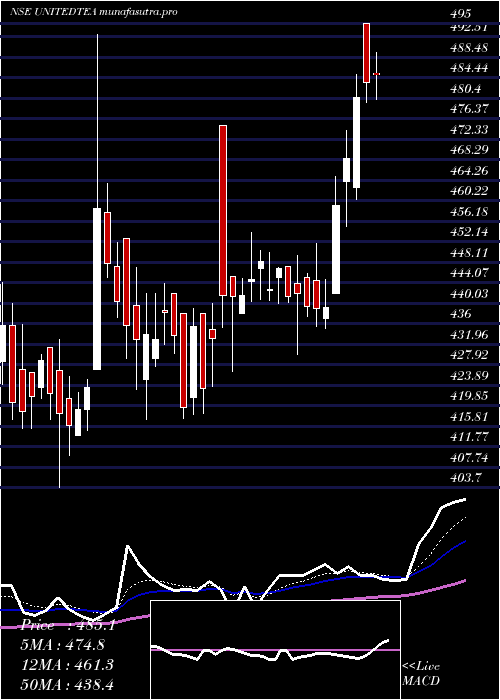  Daily chart UnitedNilgiri