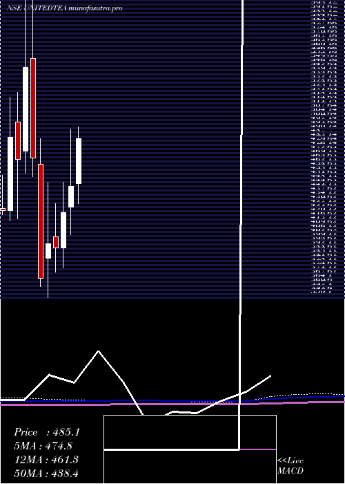  monthly chart UnitedNilgiri