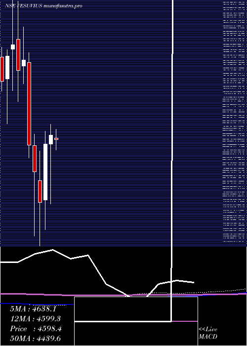 monthly chart VesuviusIndia