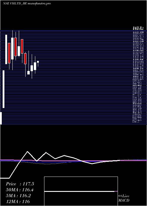 monthly chart ViceroyHotels