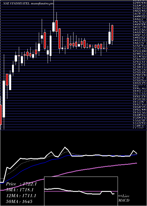 Daily chart VindhyaTelelinks