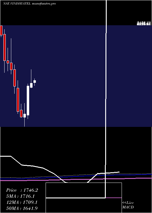 monthly chart VindhyaTelelinks