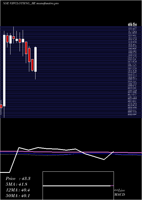 monthly chart VipClothing