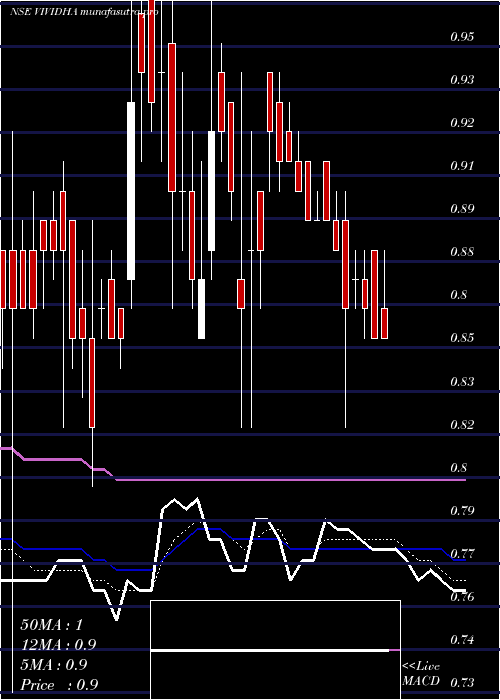 Daily chart VisagarPolytex