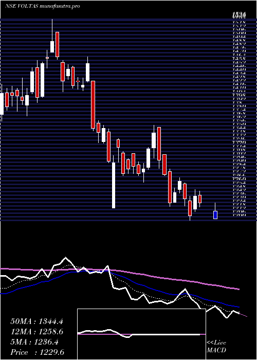  Daily chart Voltas