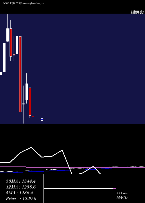  monthly chart Voltas