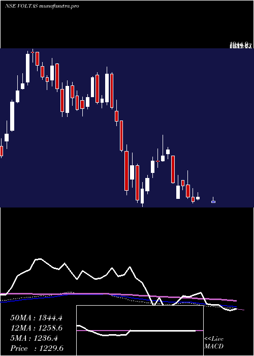  weekly chart Voltas