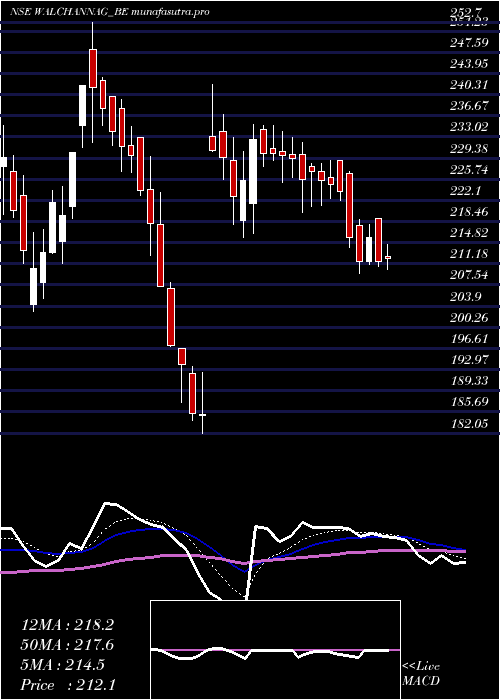 Daily chart WalchandnagarIndustries