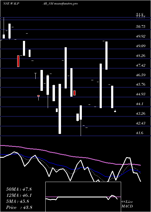 Daily chart WalparNutritions