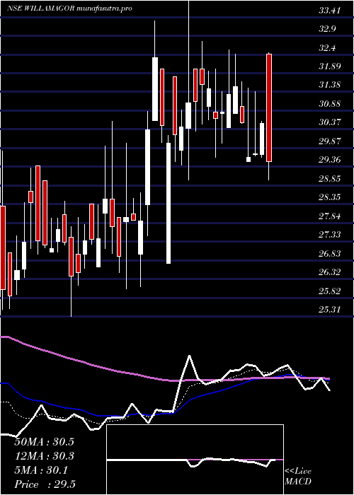 Daily chart WilliamsonMagor