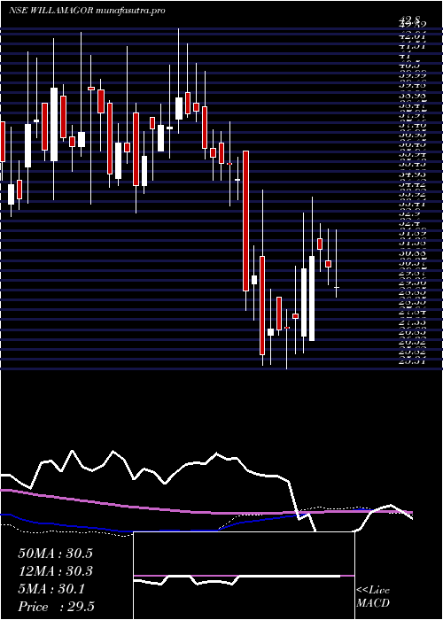 weekly chart WilliamsonMagor