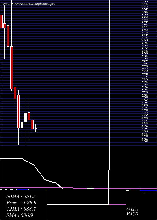 monthly chart WonderlaHolidays