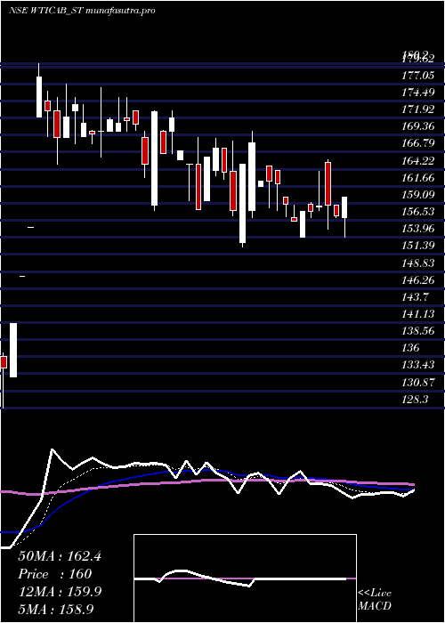 Daily chart WiseTravel