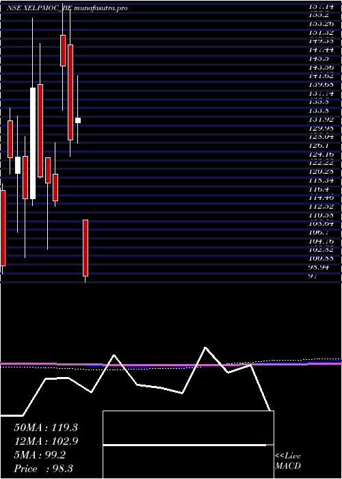 monthly chart XelpmocDesign