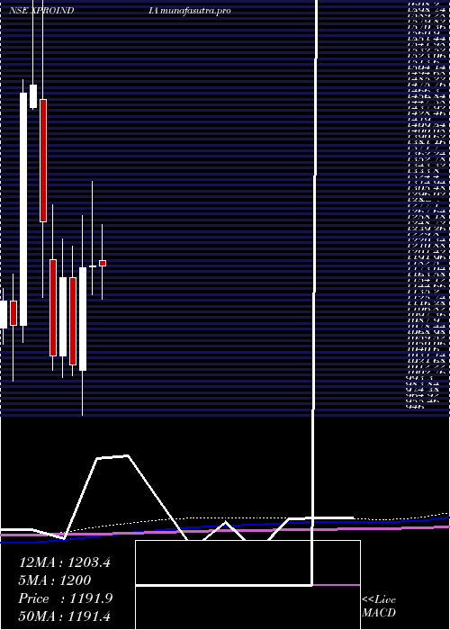 monthly chart XproIndia
