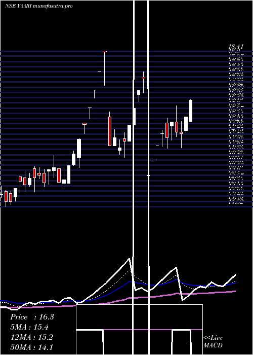 Daily chart YaariDigi