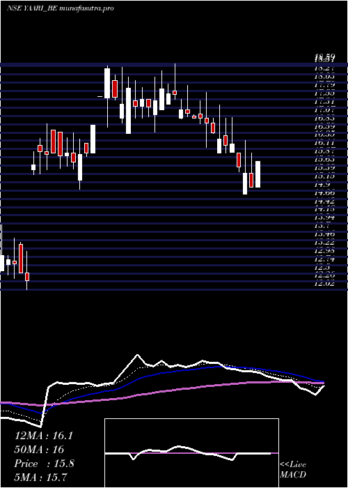 Daily chart YaariDigi