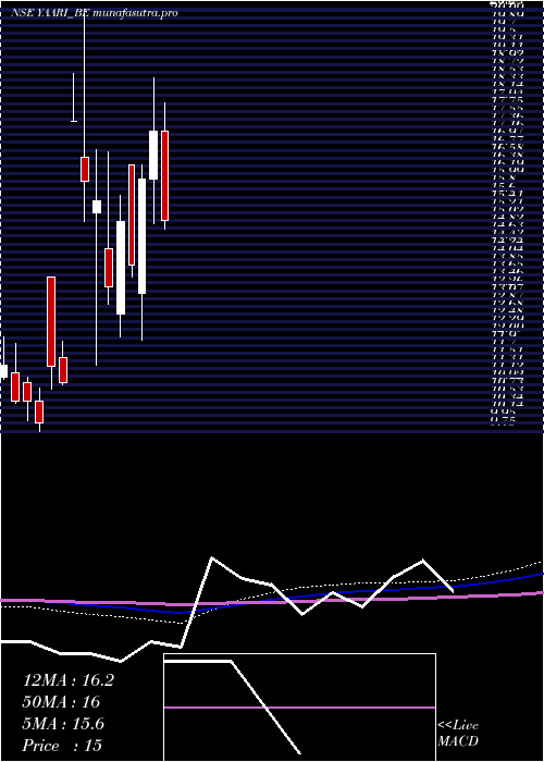 monthly chart YaariDigi