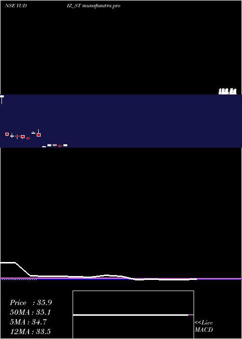 monthly chart YudizSolutions
