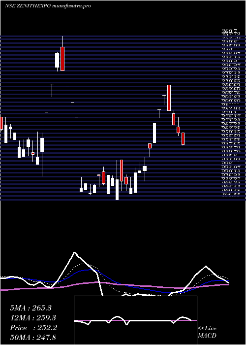 Daily chart ZenithExports