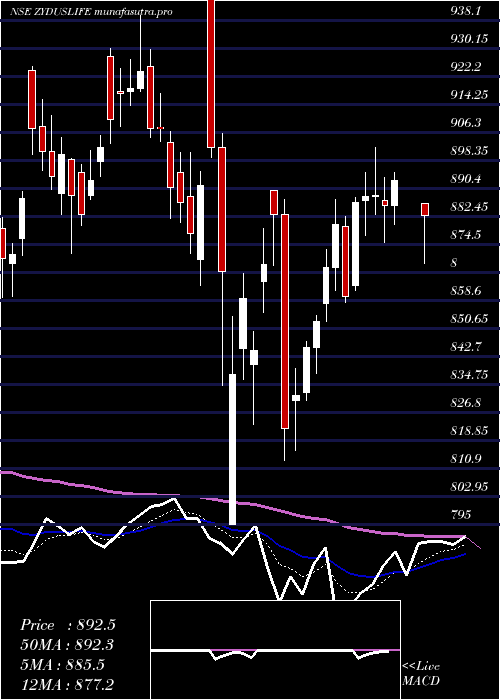  Daily chart ZydusLifesciences