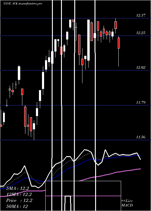  Daily chart AdventClaymore