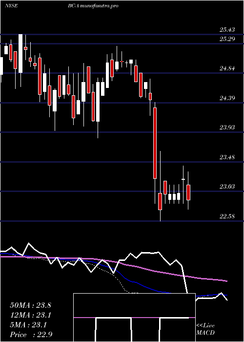  weekly chart BrunswickCorp