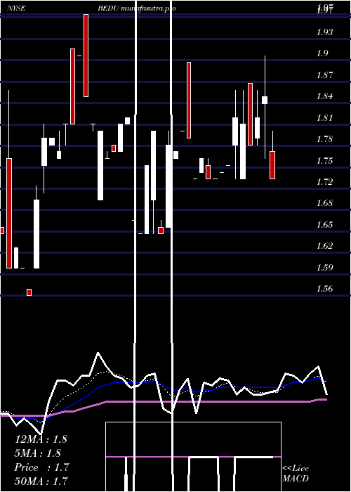  Daily chart BrightScholar