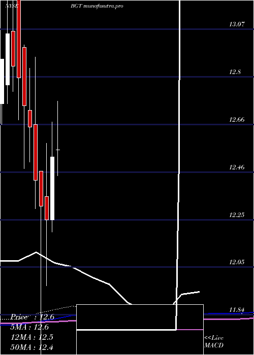 monthly chart BlackrockGlobal