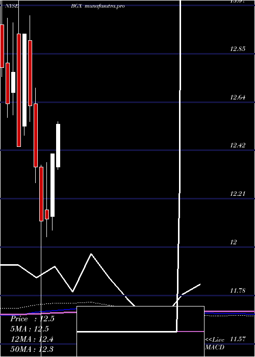 monthly chart BlackstoneGso