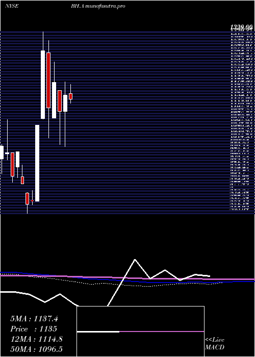 monthly chart BiglariHoldings