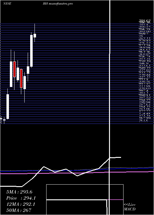 monthly chart BiglariHoldings
