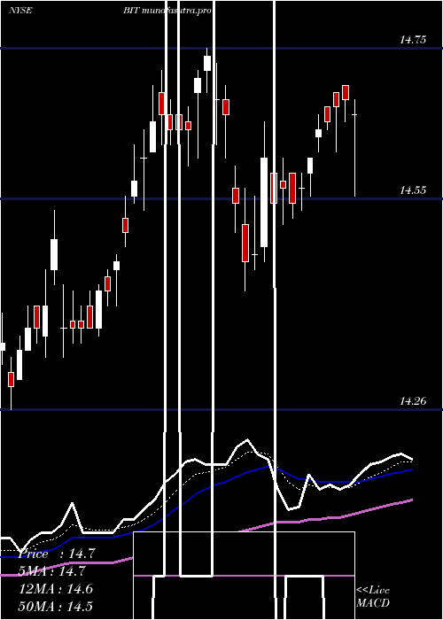  Daily chart BlackrockMulti