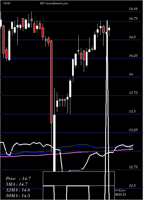  weekly chart BlackrockMulti