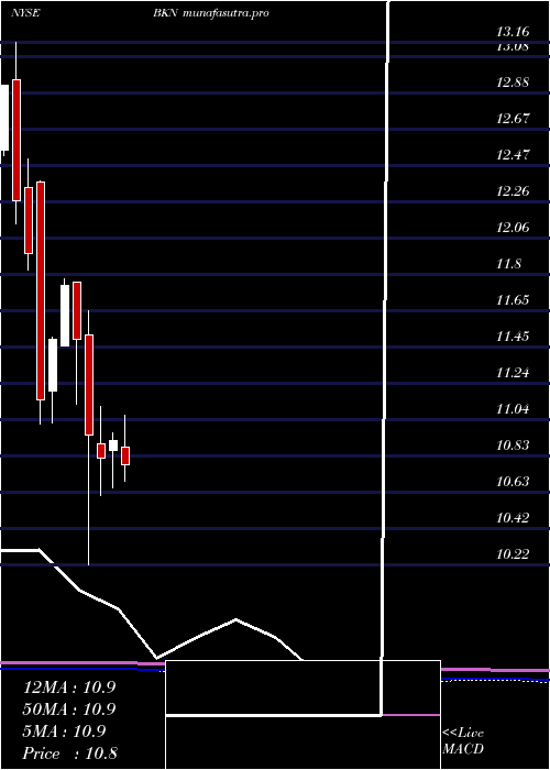 monthly chart BlackrockInvestment