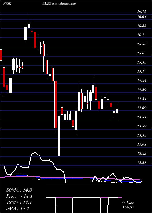  weekly chart BlackrockHealth
